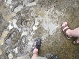 Mud and feet at JazzFest 2017