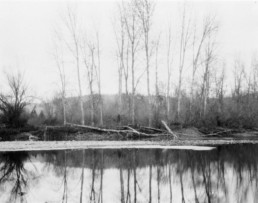 Bitterroot River at Kelly's Island