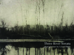 Three River Sonata Postcard front