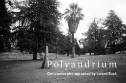 Polyandrium-cover-1000
