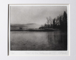 Court of the Cottonwoods photogravure print by Leland Buck