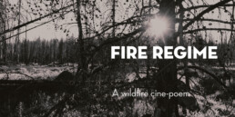 Fire Regime